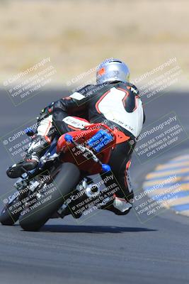 media/May-13-2023-SoCal Trackdays (Sat) [[8a473a8fd1]]/Turn 11 Backside (945am)/